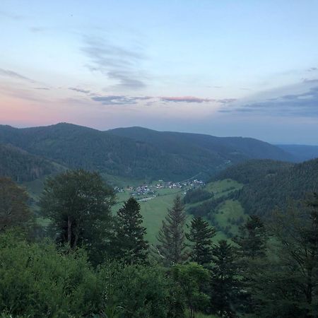 סאן בלאסיין Forest Apartment-Forest Escape Menzenschwand מראה חיצוני תמונה