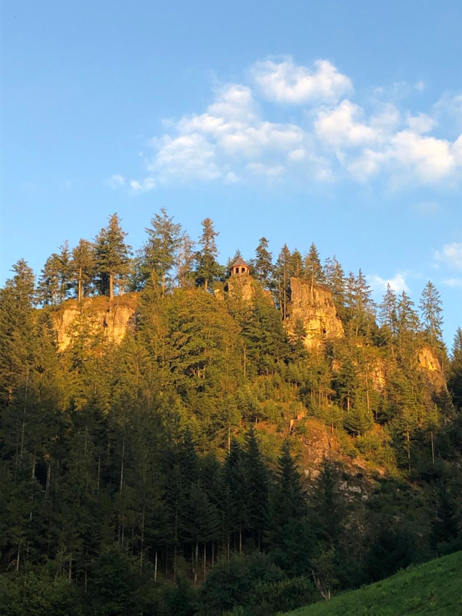סאן בלאסיין Forest Apartment-Forest Escape Menzenschwand מראה חיצוני תמונה