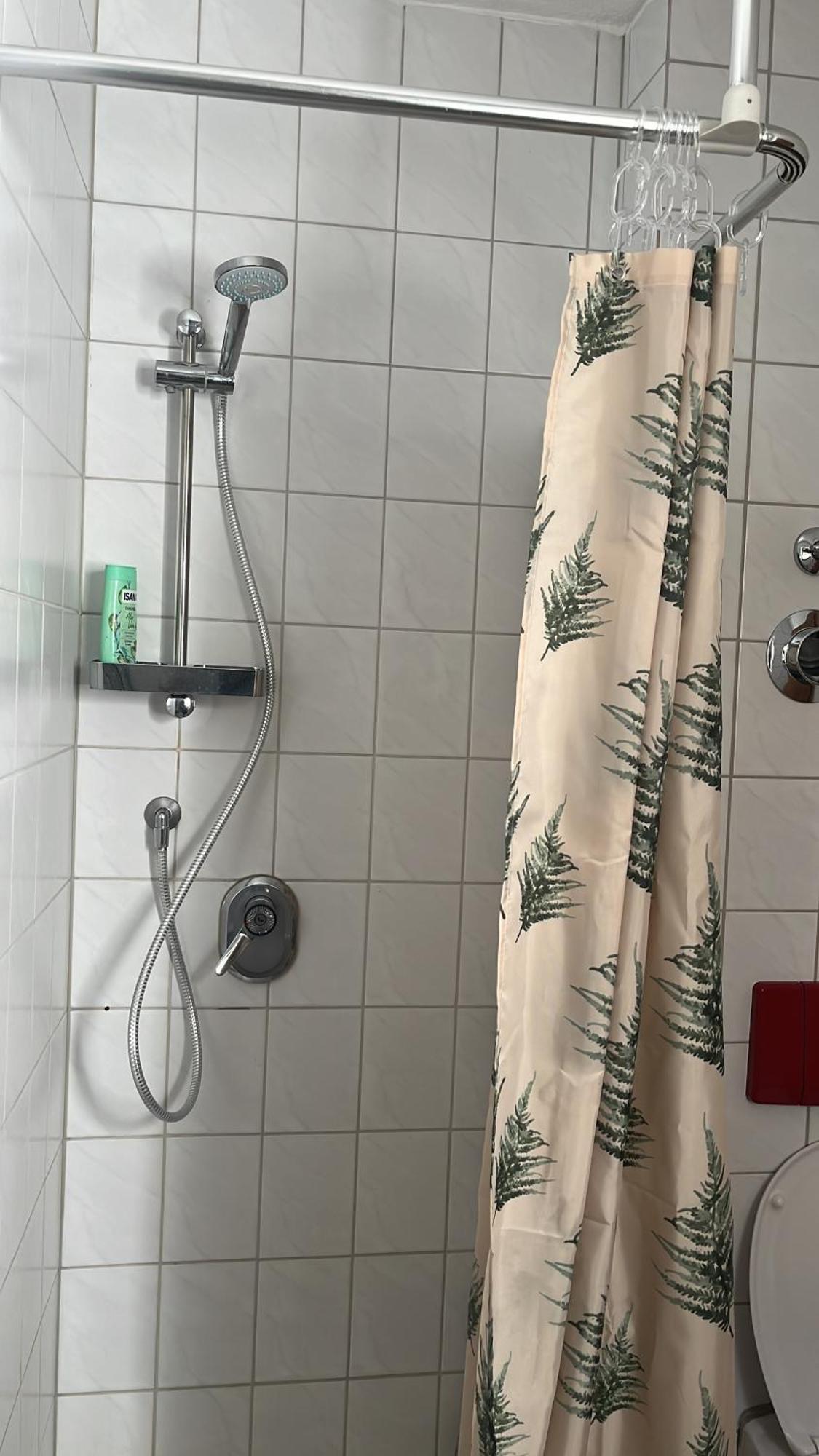 סאן בלאסיין Forest Apartment-Forest Escape Menzenschwand מראה חיצוני תמונה