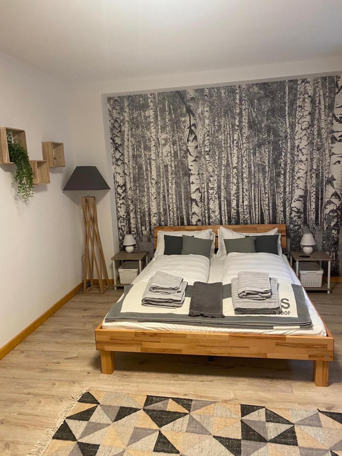 סאן בלאסיין Forest Apartment-Forest Escape Menzenschwand מראה חיצוני תמונה
